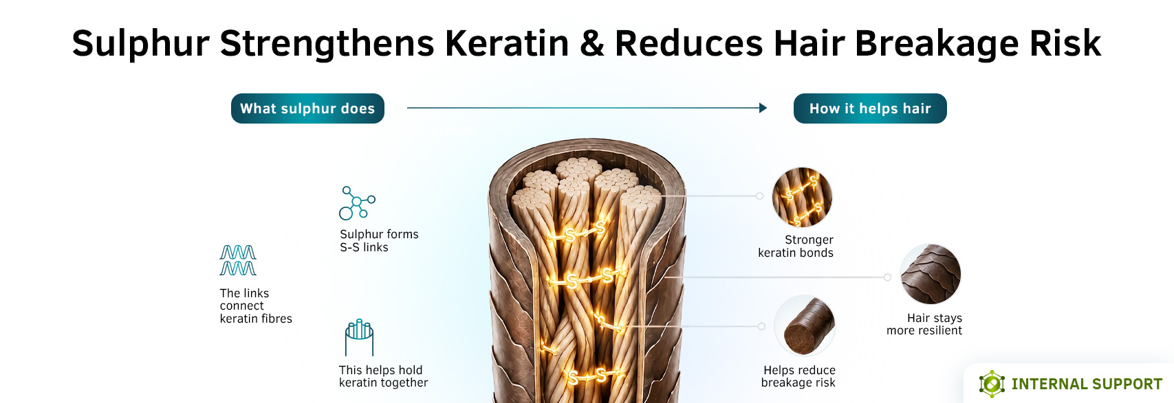 Benefits of Hair Strength Metabs - MSM 500mg | 60 tablets